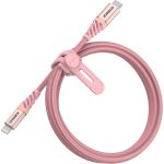 Lightning to USB-C Cable Fast Charge Premium